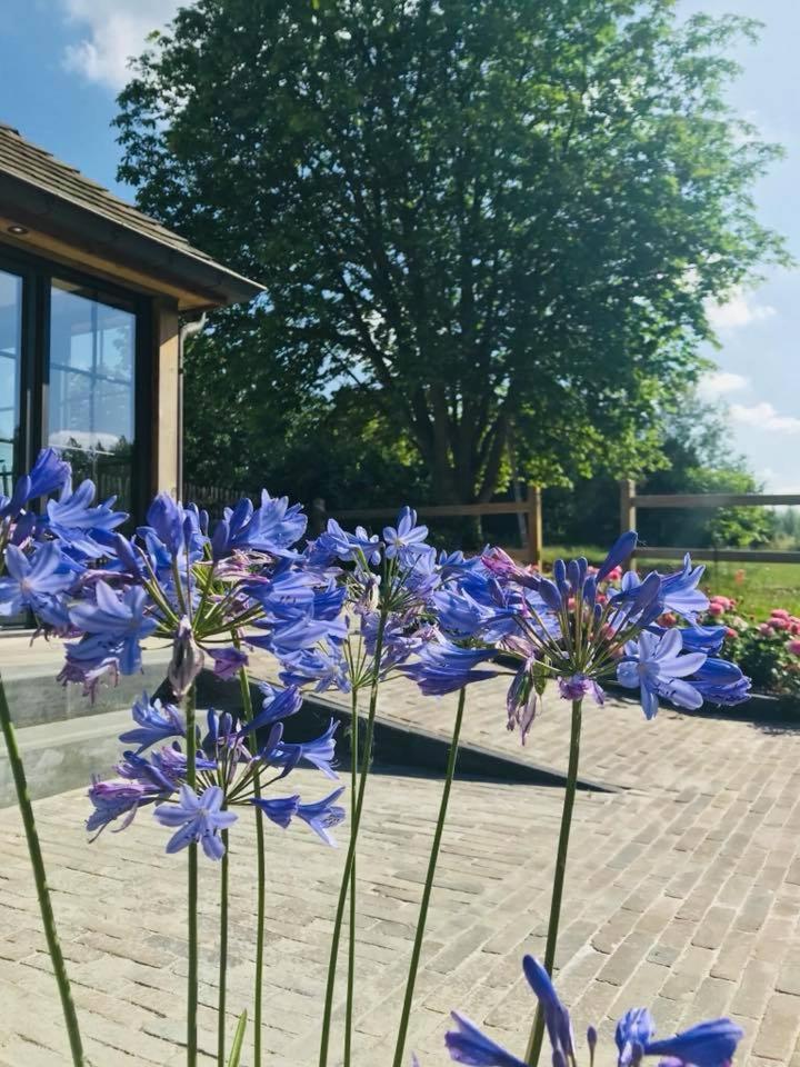 B&B De Windheer Sint-Martens-Lennik Eksteriør bilde